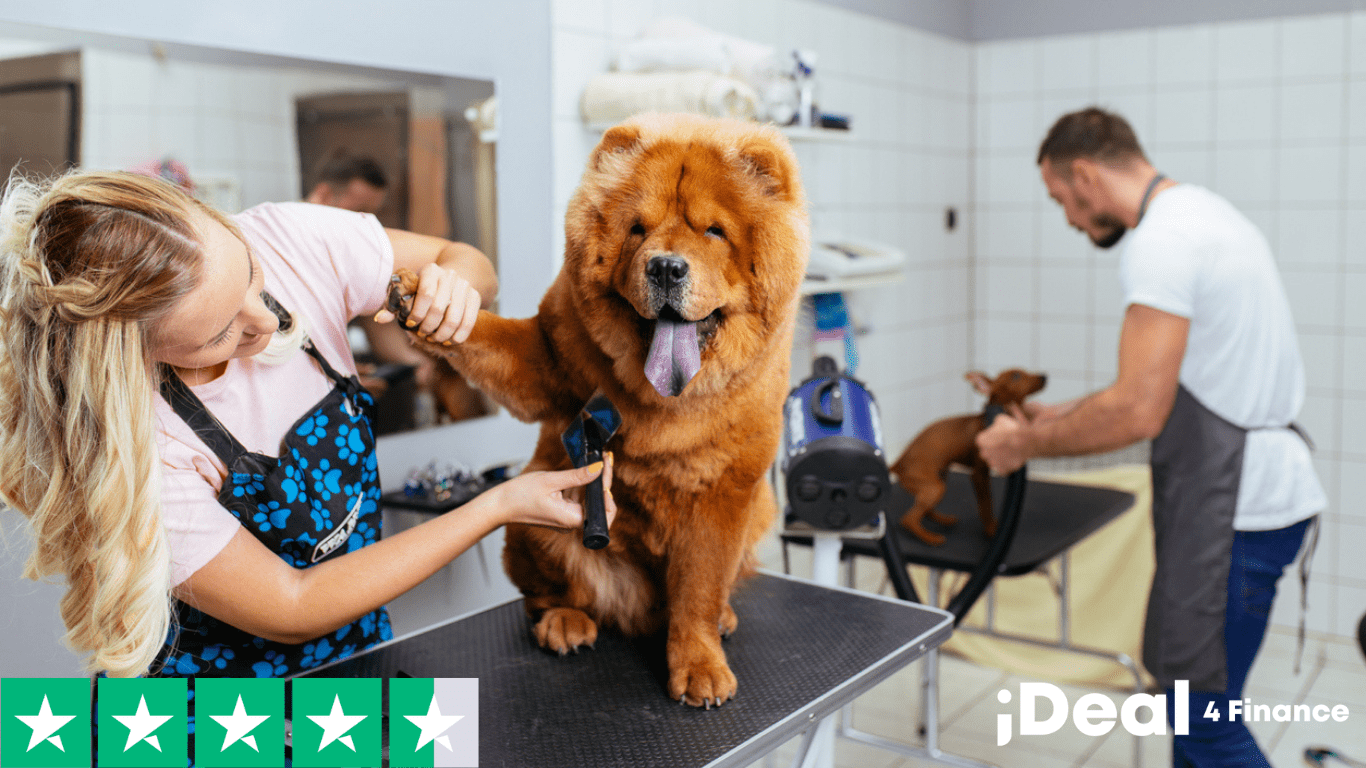 How to Offer pet grooming Finance to Customers in the UK