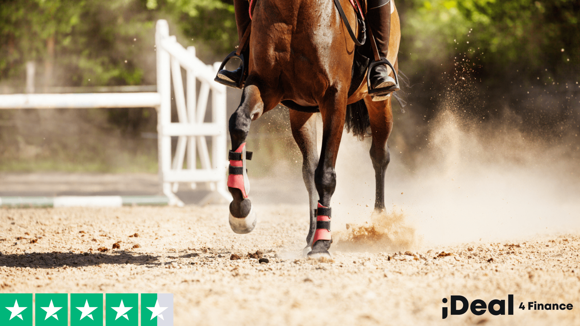 equestrian finance