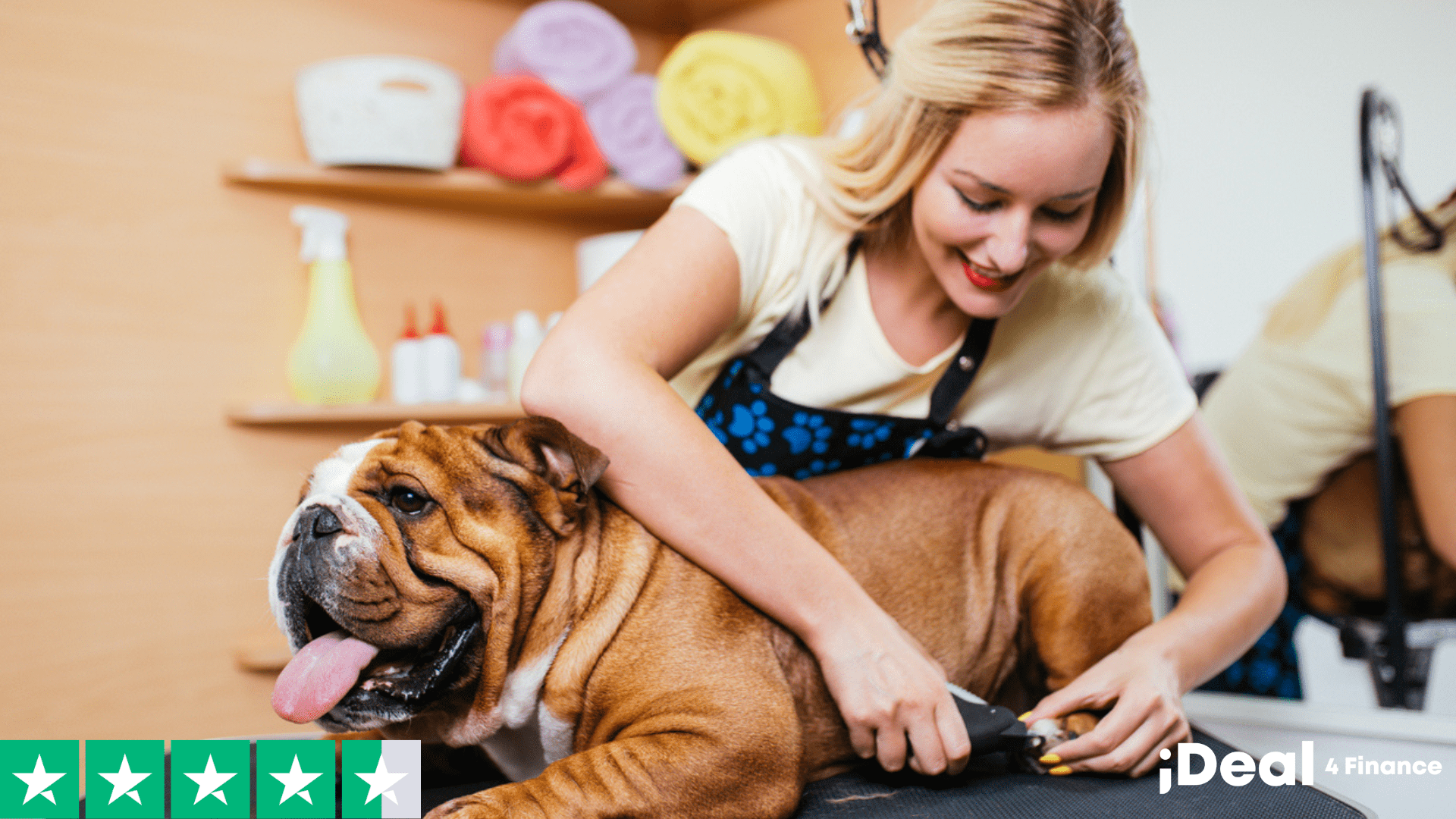 pet grooming finance